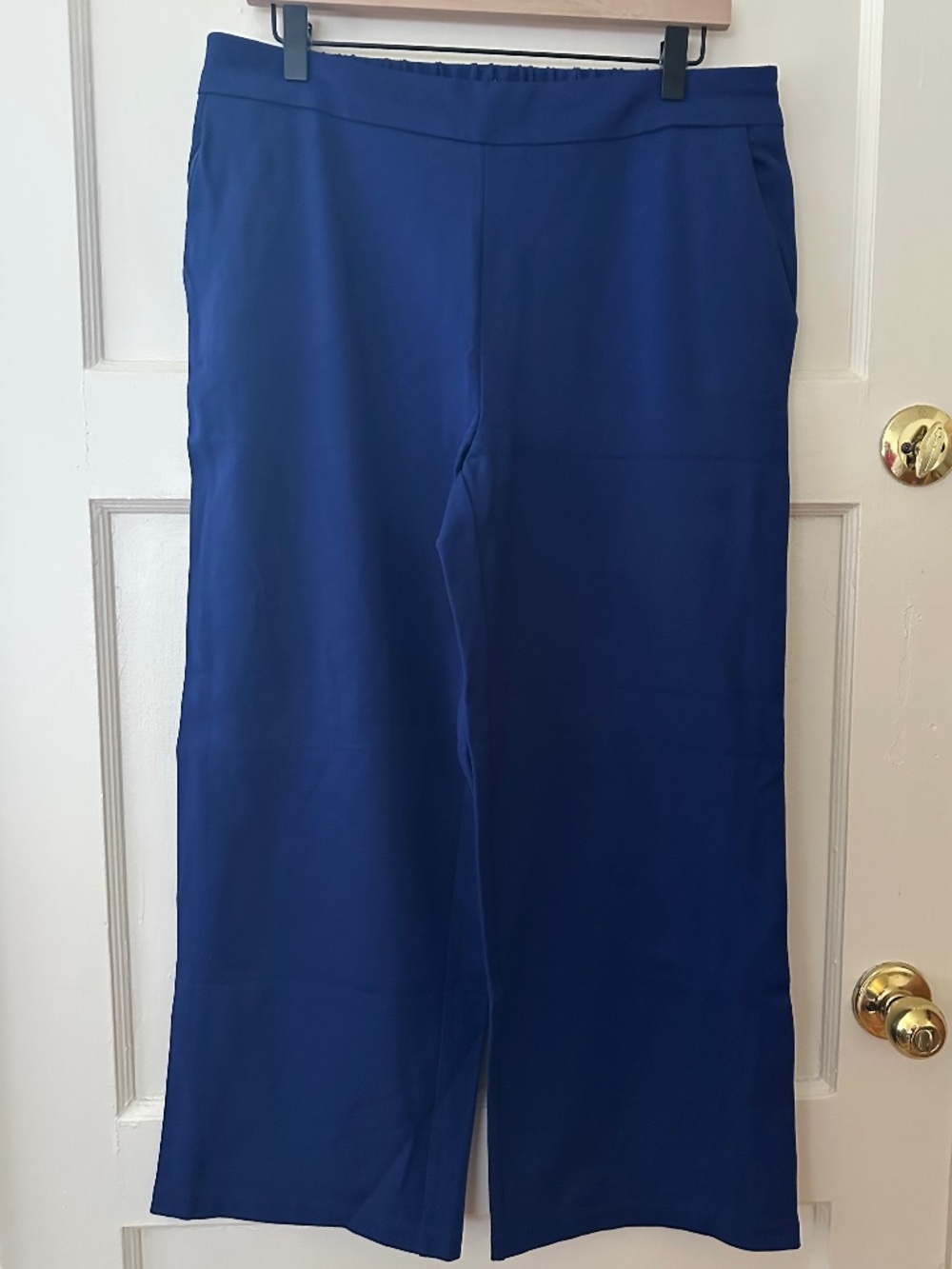 Petite Principle Wide-Leg Blue Pant Large Petite (LP)